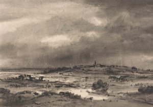 Composition : paysage de marais