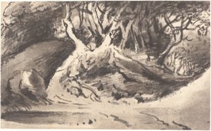 Paysage boisé - Dr. Thomas Monro