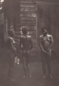 Trois Femmes Malgaches (Plate 30),1863 (photo) - Désiré Charnay