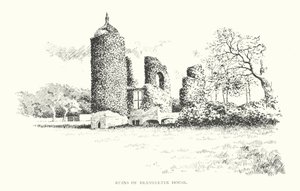Ruines de Brambletye House
