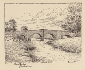 Sussex : Mock Bridge, Shermanbury - Duncan Moul