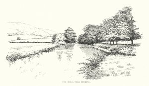 La Taupe, près de Dorking