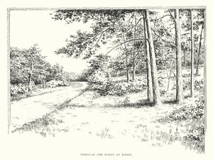 À travers les bois à Esher