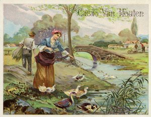 Élevage de canards - Dutch School