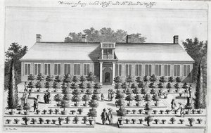 Jardin hollandais, de De Nederlandze Hesperides par Jan Commelin, publié en 1676 - Dutch School