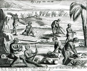 Hottentots - Dutch School