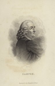 Petrus Camper - Dutch School