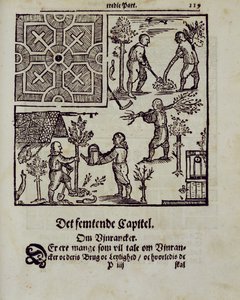 Planter des arbres, du Jardinier hollandais par Johann van der Groen, publié en 1699 - Dutch School