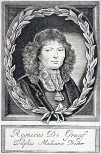 Regnier de Graaf, vers 1670 - Dutch School