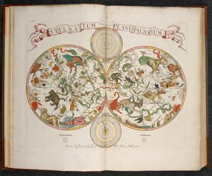 Stellatum Planisphaerium, un planisphère avec signes du zodiaque - Dutch School