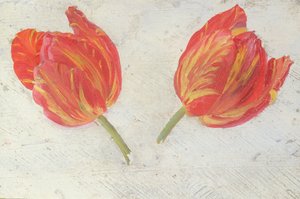 Études de tulipes, vers 1830