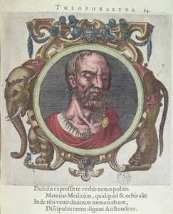 Théophraste (c.372-287 av. J.-C.), illustration de Veterum et Recentium Medicorum Philosophorumque Icones par Johannes Sambucus (1531-84), publiée par Plantin à Leyde en 1603 (gravure en couleur) - Dutch School