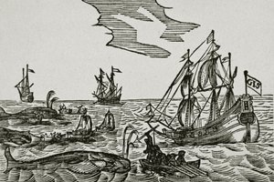 Navires baleiniers, du 
