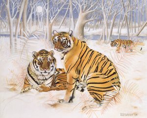 Tigres dans la neige, 2005 - E.B. Watts