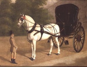 Un cheval gris et un cabriolet avec groom - E.M. Fox