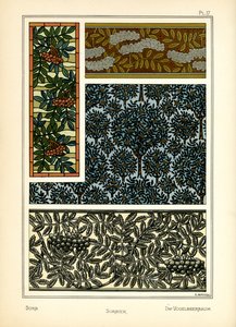 Le sorbier - E. Hervegh