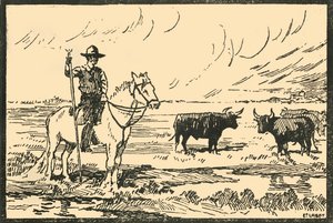 Paysage de Camargue - E Laget