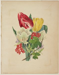 Bouquet de tulipes, du Dictionnaire de Flora, 1838