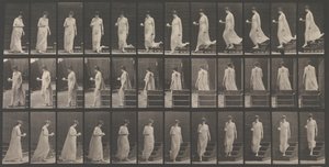 Locomotion animale. Une enquête électro-photographique... des mouvements des animaux. Commence..., années 1880 - Eadweard Muybridge