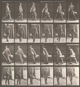 Locomotion animale. Une enquête électro-photographique sur les mouvements des animaux - Eadweard Muybridge
