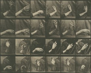 Locomotion Animale, Planche 535, 1887 - Eadweard Muybridge