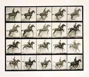 Homme et cheval sautant une clôture, 1887 - Eadweard Muybridge