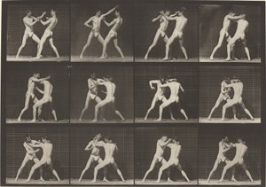 Planche numéro 340. Boxe, chaussures à main ouverte, 1887 - Eadweard Muybridge