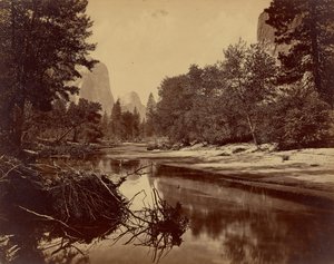 [Sylvan Bar. La vallée du Yosemite]. - Eadweard J. Muybridge