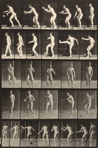 Locomotion animale (planche 300) (Homme tapant dans un ballon) - Eadweard Muybridge