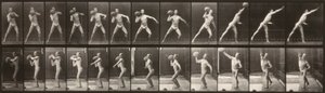 Locomotion animale (planche 319) (Homme lançant une balle)