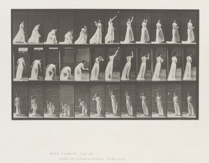 Animal Locomotion, Planche 305 - Eadweard Muybridge