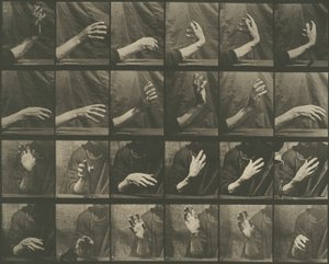 Locomotion animale, planche 535 - Eadweard Muybridge