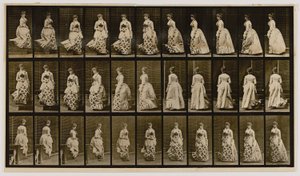 Descendre des escaliers et tourner, extrait du livre Animal Locomotion - Eadweard Muybridge