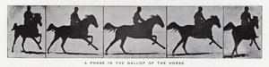 Eadweard Muybridge : Une phase du galop du cheval (photo n/b)