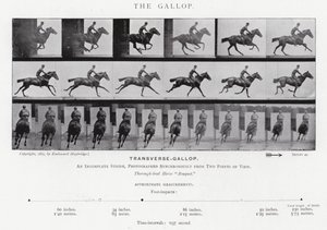 Eadweard Muybridge : Le Galop - Eadweard Muybridge