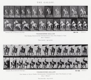 Le Galop - Eadweard Muybridge