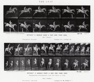 Eadweard Muybridge : Le Saut - Eadweard Muybridge