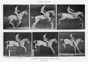Le Saut - Eadweard Muybridge