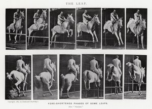 Eadweard Muybridge : Le Saut (photo n/b) - Eadweard Muybridge