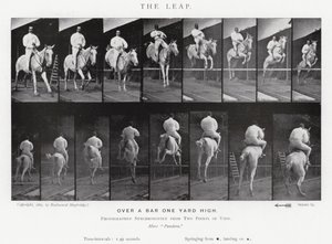 Eadweard Muybridge : Le Saut (photo n/b) - Eadweard Muybridge
