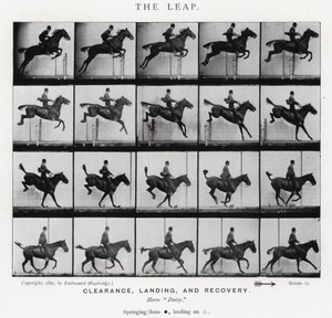 Eadweard Muybridge : Le Saut (photo n/b) - Eadweard Muybridge