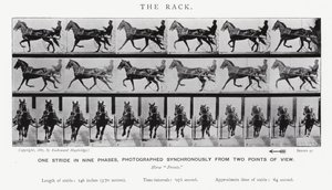 Le Galop - Eadweard Muybridge
