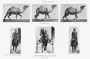 Le Rack - Eadweard Muybridge