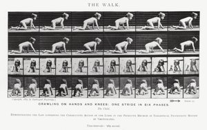 Eadweard Muybridge : La Marche - Eadweard Muybridge