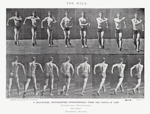 La Marche - Eadweard Muybridge