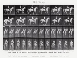 Eadweard Muybridge : La Marche (photo n/b) - Eadweard Muybridge