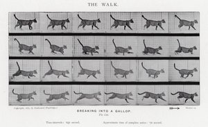 La Marche - Eadweard Muybridge