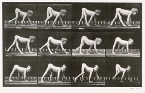 Garçon handicapé rampant, planche 539 de 