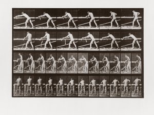 Homme rabotant du bois, Planche 379 de Animal Locomotion, 1887 - Eadweard Muybridge