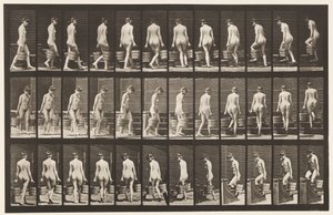 Planche 104. Tournant et montant des escaliers, seau d